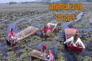 गंगारिया तालाब में पानी संचय, Water accumulation in Gangariya Pond