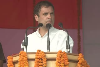 Rahul Gandhi attacks PM Modi, Nitish over job, migrant crisis