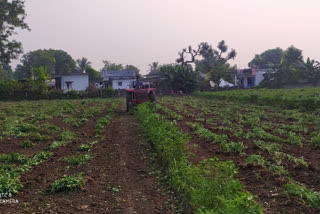 krishna dist farmers problems