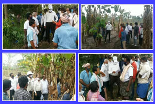 jc visit damaged crop fileds at ravulapalem