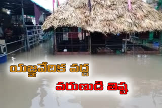 heavy rain at vadapalli temple