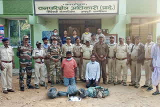 tiger poaching in chandrapur