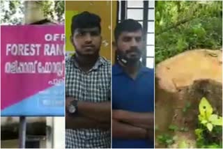 ചന്ദനം മുറിച്ചു വാര്‍ത്ത  ചന്ദന കടത്ത് വാര്‍ത്ത  sandalwood cut news  sandalwood smuggling news