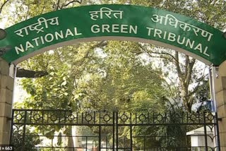 National Green Tribunal will hear hearing on demand to ban firecrackers today