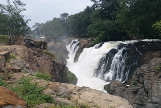 Hogenakkal water level increased