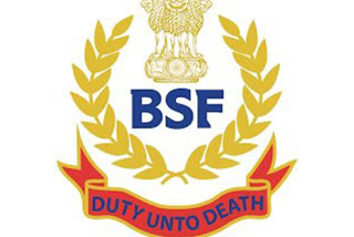 J-K: BSF unearths tunnel-like structure along International Border  BSF  tunnel  International Border  RS Pura sector of Jammu  അന്താരാഷ്ട്ര അതിര്‍ത്തിയില്‍ ബിഎസ്എഫ് തുരങ്കം കണ്ടെത്തി  ബിഎസ്എഫ്  തുരങ്കം  ആർ‌എസ് പുര സെക്ടര്‍