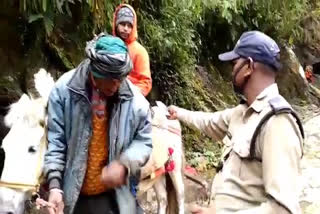 Challan of horse mule operators rudraprayag news