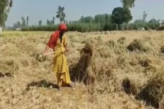 Pathankot became the first district not to burn straw