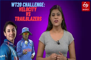 Women T20 Challenge: Velocity vs trailblazers, match preview