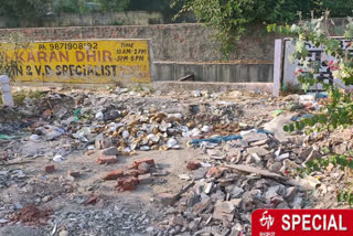 Flower beds made in dustbin in Dilshad Garden