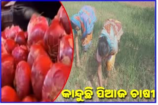 angul-farmer-tensed-for-buying-onions-in-high-price