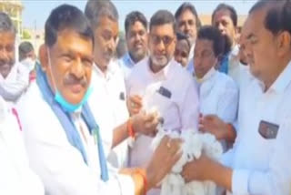 Initiation of cotton purchases by CCI in Bhainsa market in nirmal district