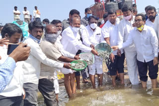 MLA Abraham left five lakh fish in the dam