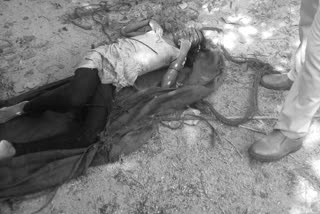 Woman commits suicide by falling into well
