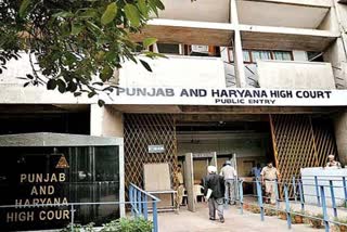 Punjab and Haryana High Court Bar Association elections will be held on friday