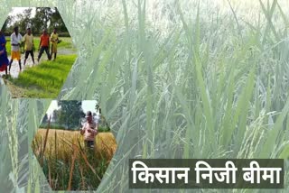 farmers-private-insurance-from-18-years-to-60-years-in-raigarh