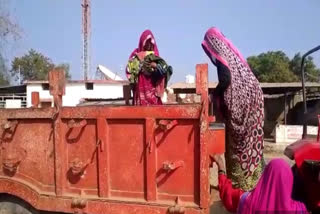 maternity had to go home on a tractor