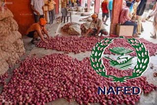 Nafed finalises bidders, issues order for supply of 15,000 tonnes of imported onions