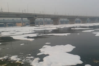 poisonous toxic foam floating on yamuna river at kalindi kunj in delhi