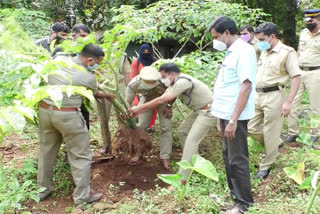 Kerala: Khakhi clad 'farmers' convert station premises into organic farm