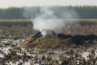 farmers burning stubble in night in rohtak