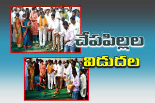 minister srinivas goud release fish into jurala backwater at narayanpet district