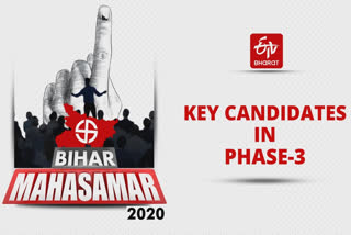 Key Candidates Bihar  Bihar Polls Phase 3  Subhashini Yadav  Lovely Anand  பிகார் சட்டப்பேரவை தேர்தல்  பிகார் தேர்தல் 2020  சுபாஷினி யாதவ்