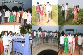 Strict action against traders who do not sell quality seeds - District Collector NV Reddy