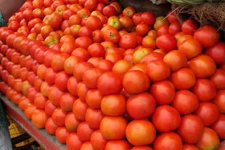 vegetable price in raipur