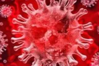 Existing antibodies may protect against coronavirus