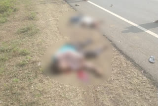 two-persons-died-in-road