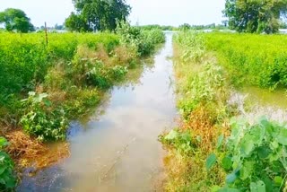 Heavy rainfall in Kalburgi district