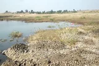 There is no water in pond of Dhilwar