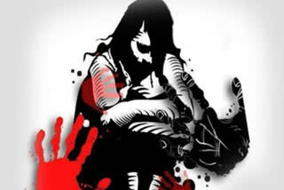 Minor girl gang-raped in Delhi's Narela; two held