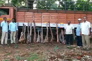 nine lakh red sandalwood seized at puthur chithur dist