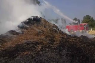 Fire in paddy crop