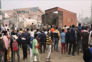 container full of buffalos found in palwal