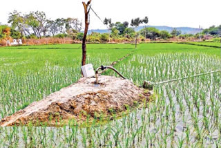 Telangana reservoirs with full water