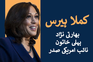 Americans 'ushered in a new day': Harris in first address after winning US election