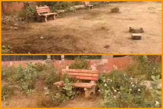 condition of park in Dera village is very bad Chhatarpur delhi