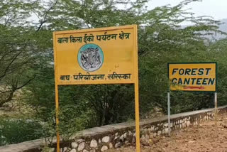 alwar news, tourists in Sariska, new routes started