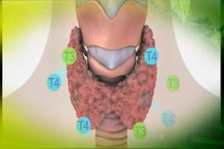 Sukhibhava special story on Thyroid treatment