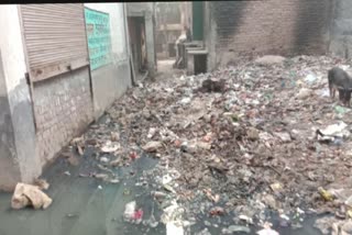 litter problem gauri shankar enclave kirari