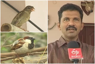 special story of sparrow man veera mahesh