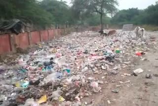 people throwing garbage on road