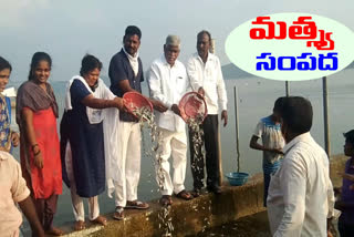 fish diapatch in krishna river by fish department in nagar kurnool dist