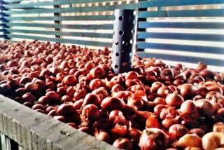 Nasik Woman Invents Godaam Innovations To Alert Farmers About Rotten Onions