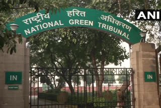 Ban against sale or use of crackers - NGT