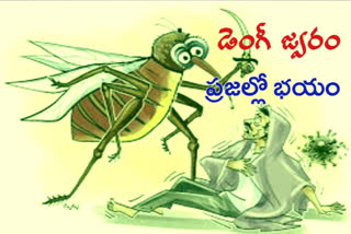 lack of sanitation in Adilabad district causes dengue fever