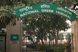 NGT pronounces ban on sale of  firecrackers in across india